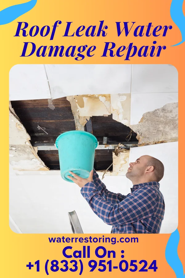 Roof Leak Water Damage Repair in Randall, IA