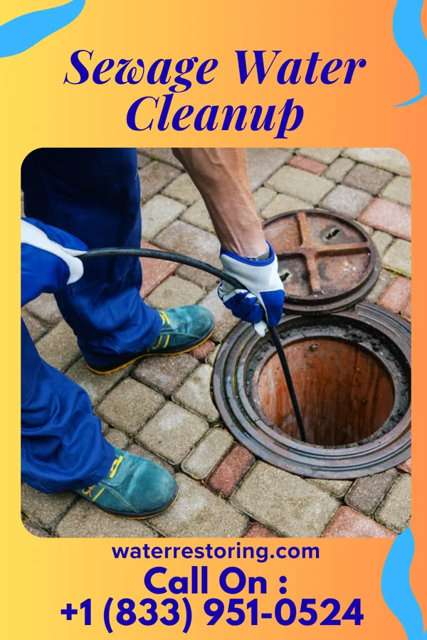 Sewage Water Cleanup in Randall, IA